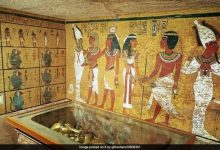 Mistério de 100 anos da maldição do Faraó finalmente resolvido, afirmam especialistas